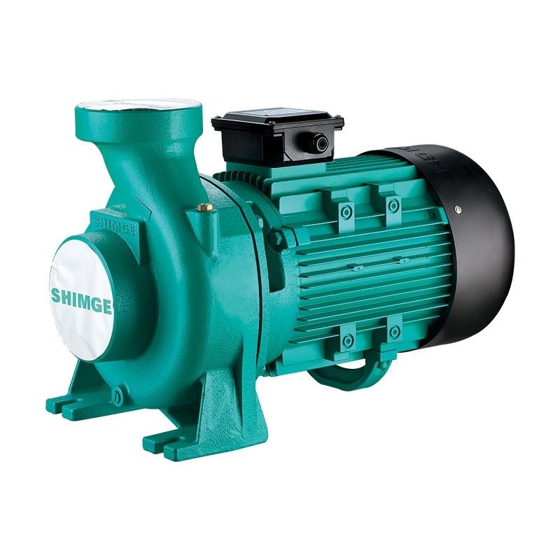 Máy bơm lưu lượng Shimge SHF20A